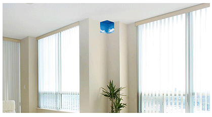 © Un petit coin de ciel bleu